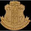 Alpha Kappa Alpha Sandblast Shield Pin Hot on Sale