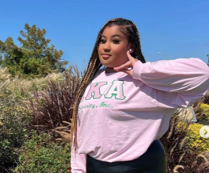 Alpha Kappa Alpha Sorority Inc. Long Sleeve For Sale