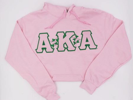 Alpha Kappa Alpha Ivy Hoodie Online now