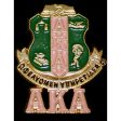 Alpha Kappa Alpha Shield Pin Cheap