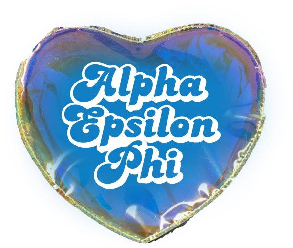 Alpha Epsilon Phi Holographic Heart Shaped Makeup Bag For Sale