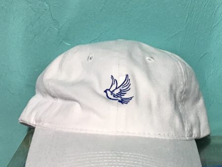 Zeta Phi Beta Mascot Hat For Cheap