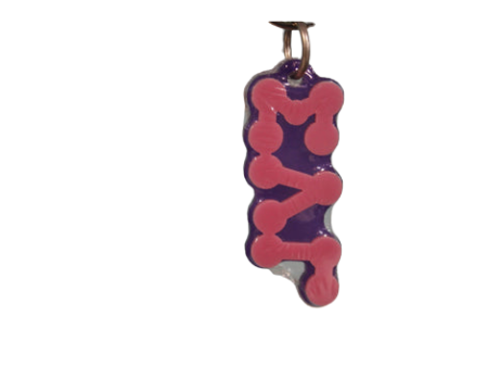 Sigma Lambda Gamma Bubble Greek Letter Acrylic Keychain Discount