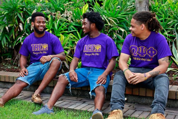 1911 Purple and Old Gold Till The Day I Die Tee Online