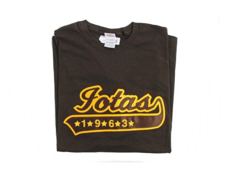 Iota Phi Theta 1963 Swoosh Tee Fashion