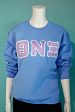 Theta Nu Xi Greek Crewneck Supply