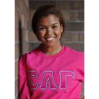 Sigma Lambda Gamma Satin Stitch Crewneck For Cheap